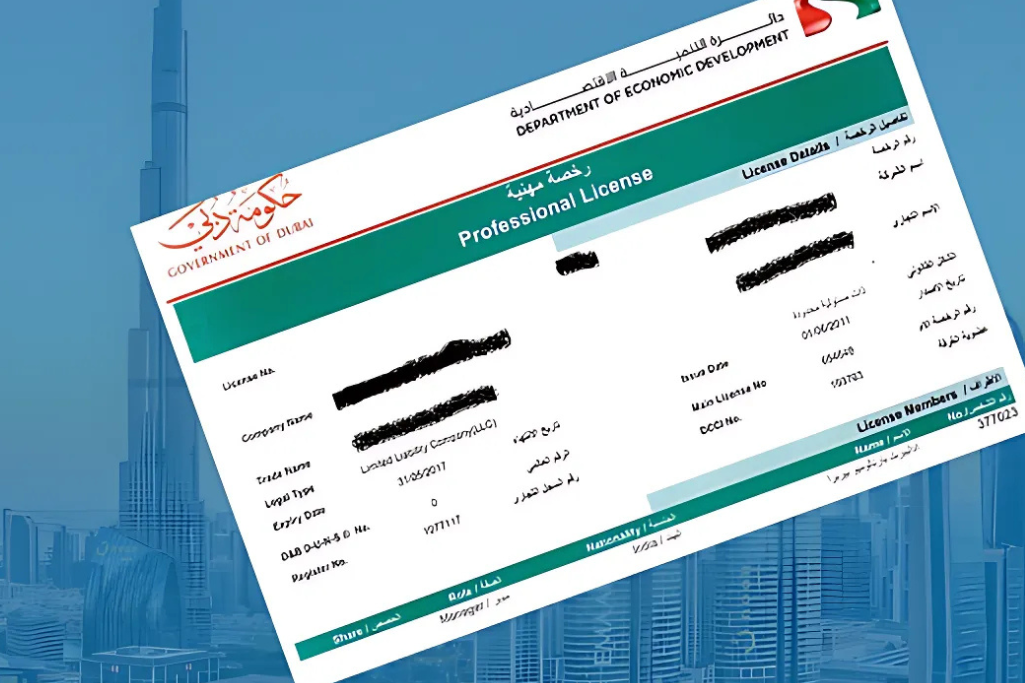 Professional trade license details for UAE businesses