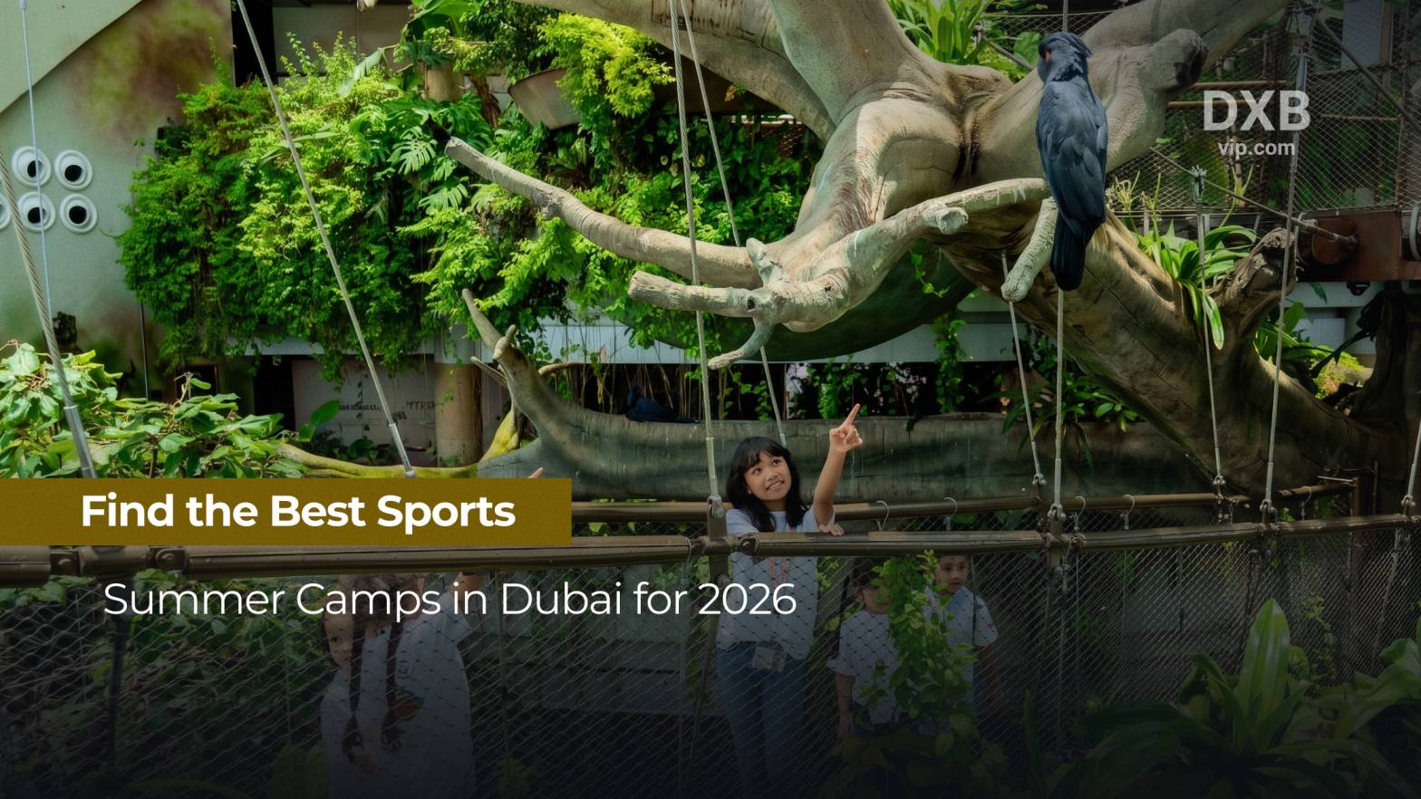sports summer camps in Dubai